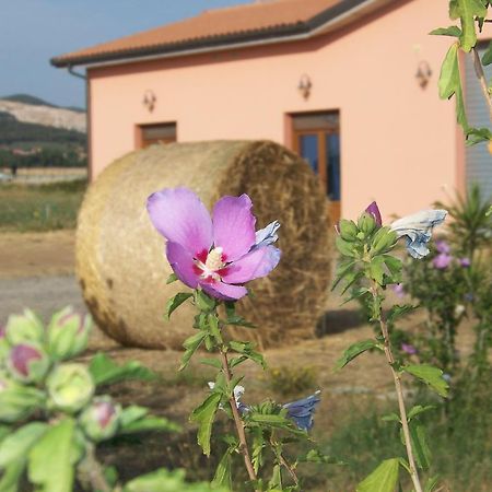 Agriturismo La Nocciolina Вентурина Терме Екстериор снимка