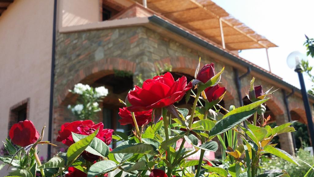 Agriturismo La Nocciolina Вентурина Терме Екстериор снимка