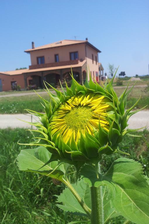 Agriturismo La Nocciolina Вентурина Терме Екстериор снимка
