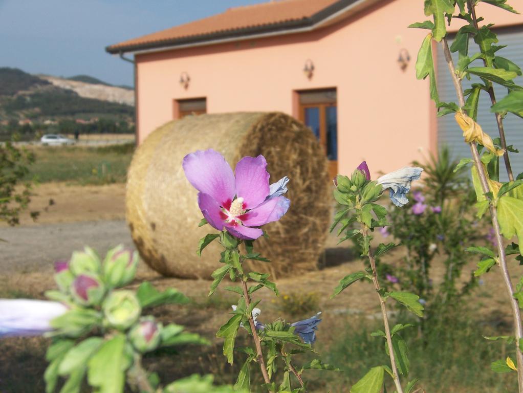 Agriturismo La Nocciolina Вентурина Терме Екстериор снимка