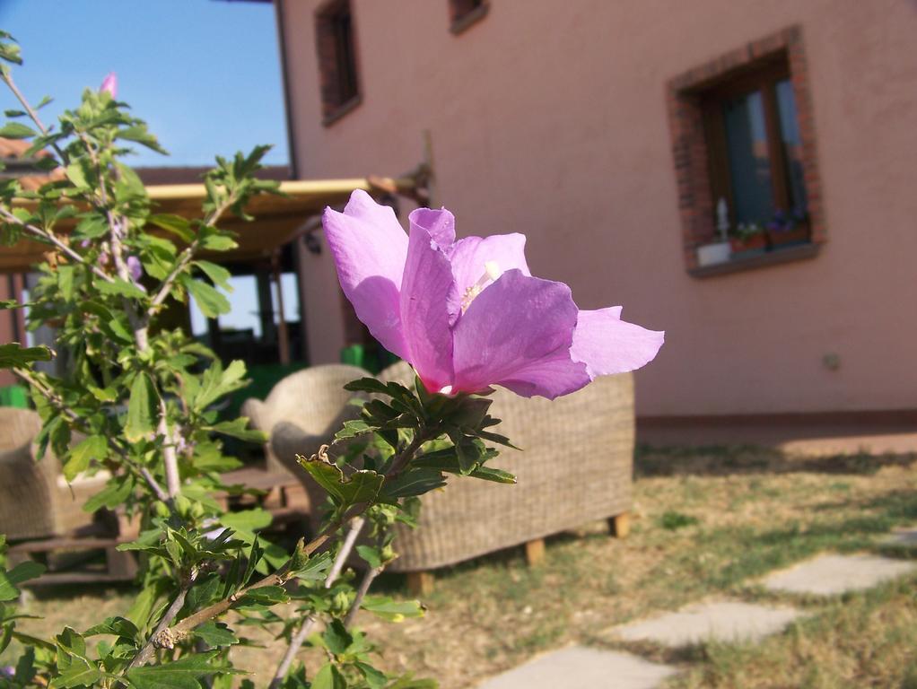 Agriturismo La Nocciolina Вентурина Терме Екстериор снимка