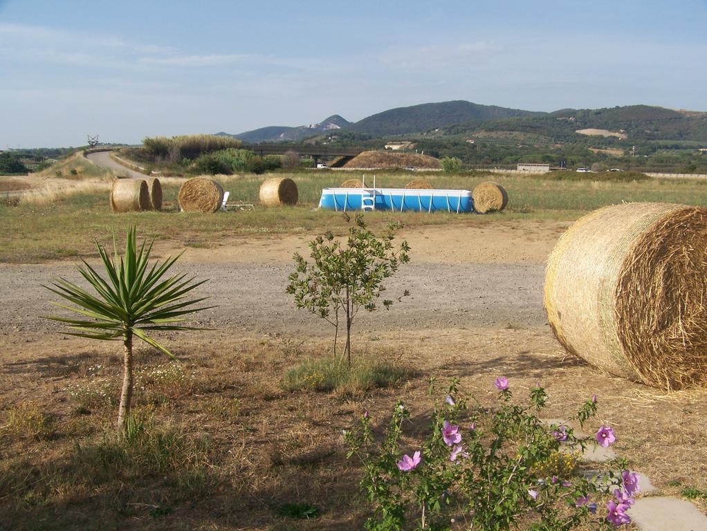 Agriturismo La Nocciolina Вентурина Терме Екстериор снимка